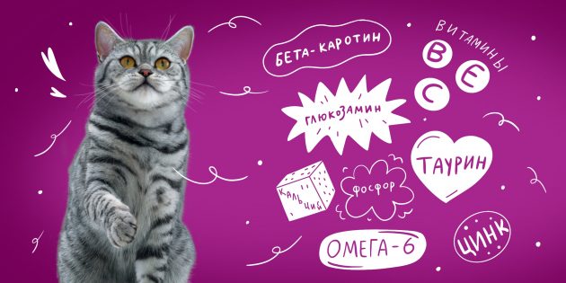 Чем кормить кошку старше 7 лет