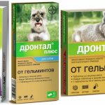 Дронтал плюс не подходит для профилактических мероприятий и лечения кошек