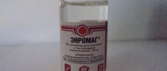 Энромаг для собак: инструкция по его применению в ветеринарии