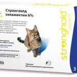Как действует Стронгхолд?