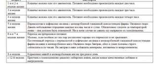 Кормление и уход за сибирскими кошками