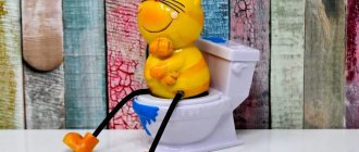 наполнители кошачьего туалета