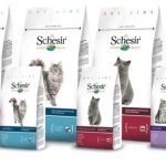 Обзор сухого корма для кошек Schesir